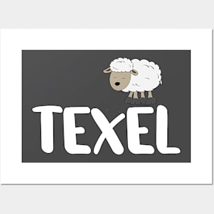 Texel sheep Posters and Art